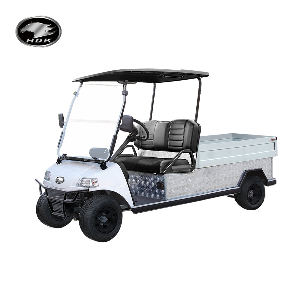 Buggy for Sale UTV ATV Utility Vehicle Mini Truck with Cargo Box 48V HDK Evolution Pick up Power Ace Electric Golf Carts